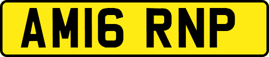 AM16RNP