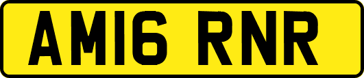 AM16RNR
