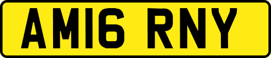 AM16RNY