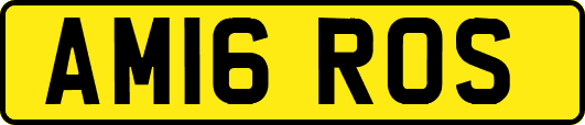 AM16ROS
