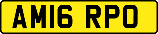 AM16RPO
