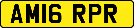 AM16RPR