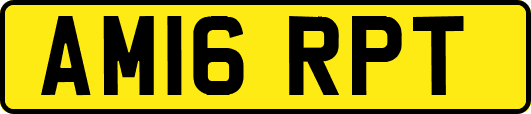 AM16RPT