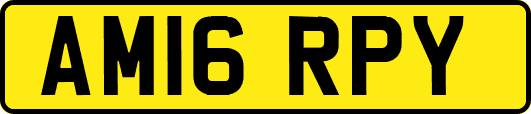 AM16RPY