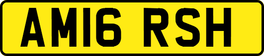 AM16RSH