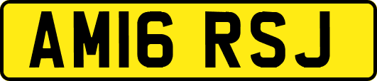 AM16RSJ
