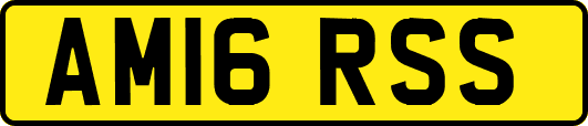 AM16RSS