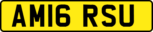 AM16RSU