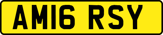 AM16RSY
