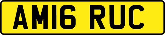 AM16RUC