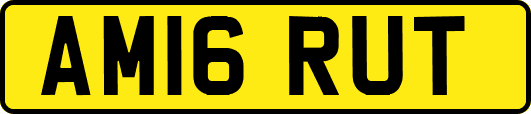 AM16RUT