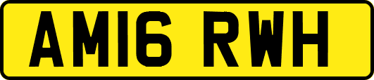 AM16RWH