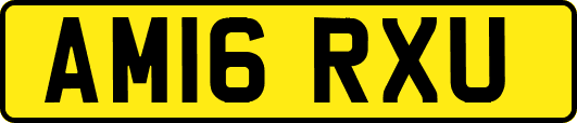 AM16RXU