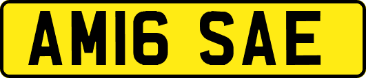AM16SAE