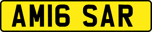 AM16SAR