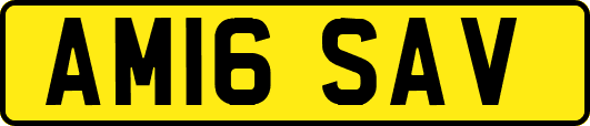 AM16SAV