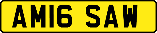 AM16SAW