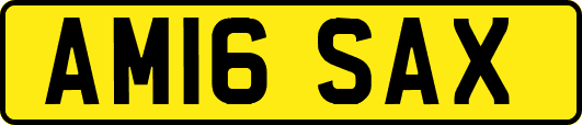 AM16SAX