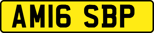 AM16SBP