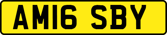 AM16SBY