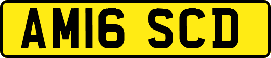 AM16SCD
