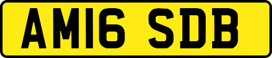 AM16SDB