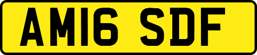 AM16SDF
