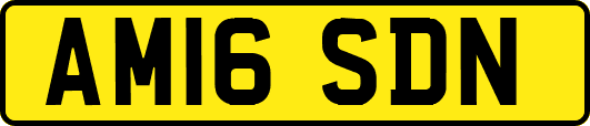 AM16SDN