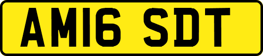 AM16SDT