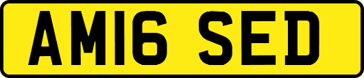 AM16SED