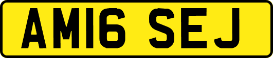 AM16SEJ