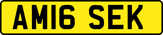 AM16SEK