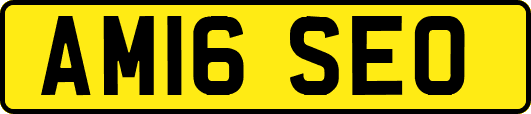 AM16SEO