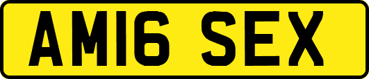 AM16SEX