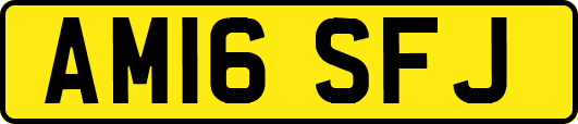 AM16SFJ