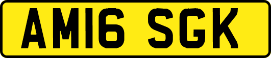 AM16SGK