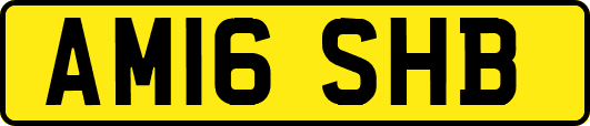 AM16SHB