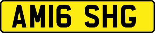 AM16SHG