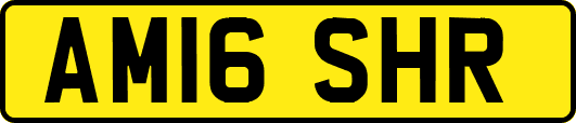 AM16SHR