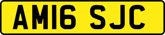 AM16SJC