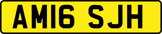 AM16SJH