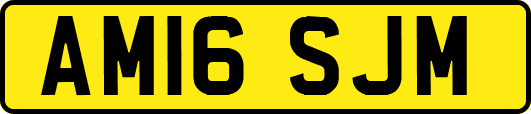 AM16SJM
