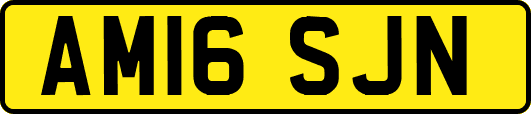 AM16SJN