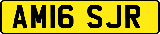 AM16SJR