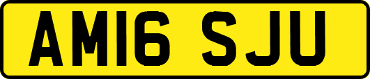 AM16SJU