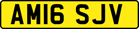 AM16SJV