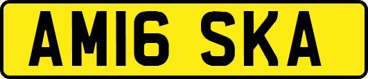 AM16SKA