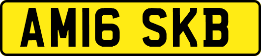 AM16SKB
