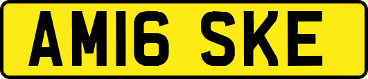 AM16SKE