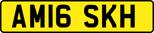 AM16SKH
